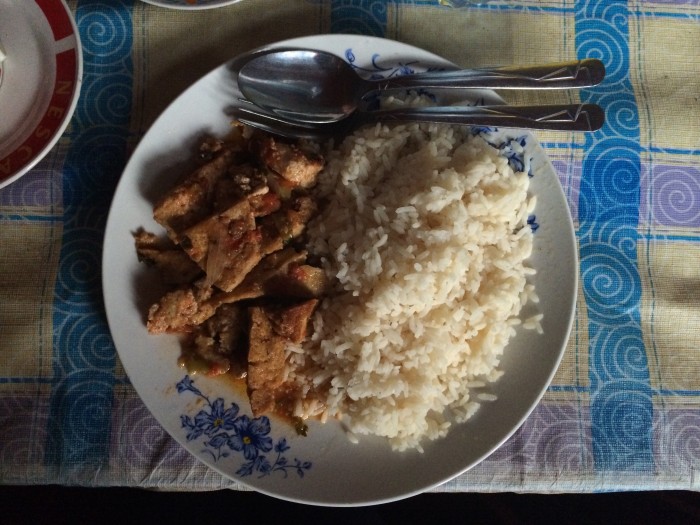 Tofu with Rice