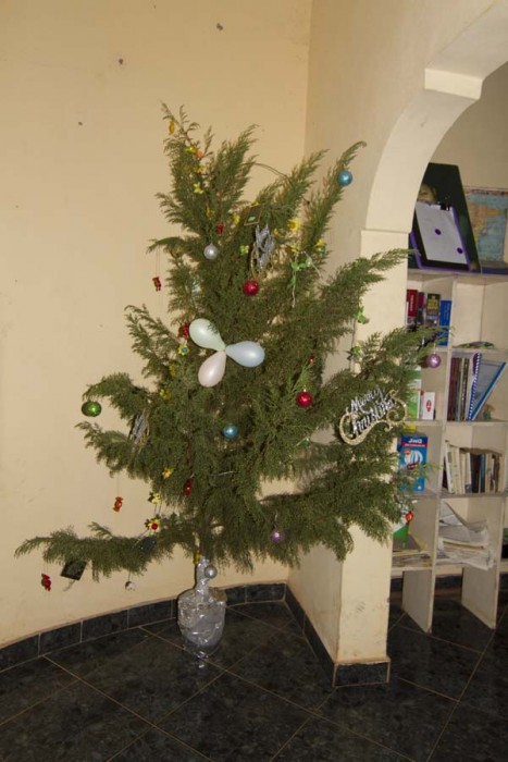 Hilda's Christmas Tree