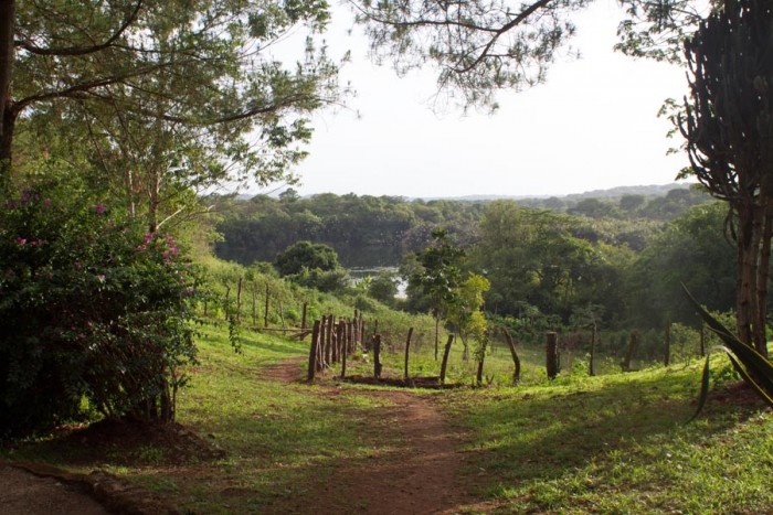 20150508_Peace Corps_Cameroon_Bamenda_5479